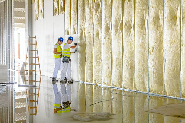 Best Insulation for Specific Applications in Maili, HI